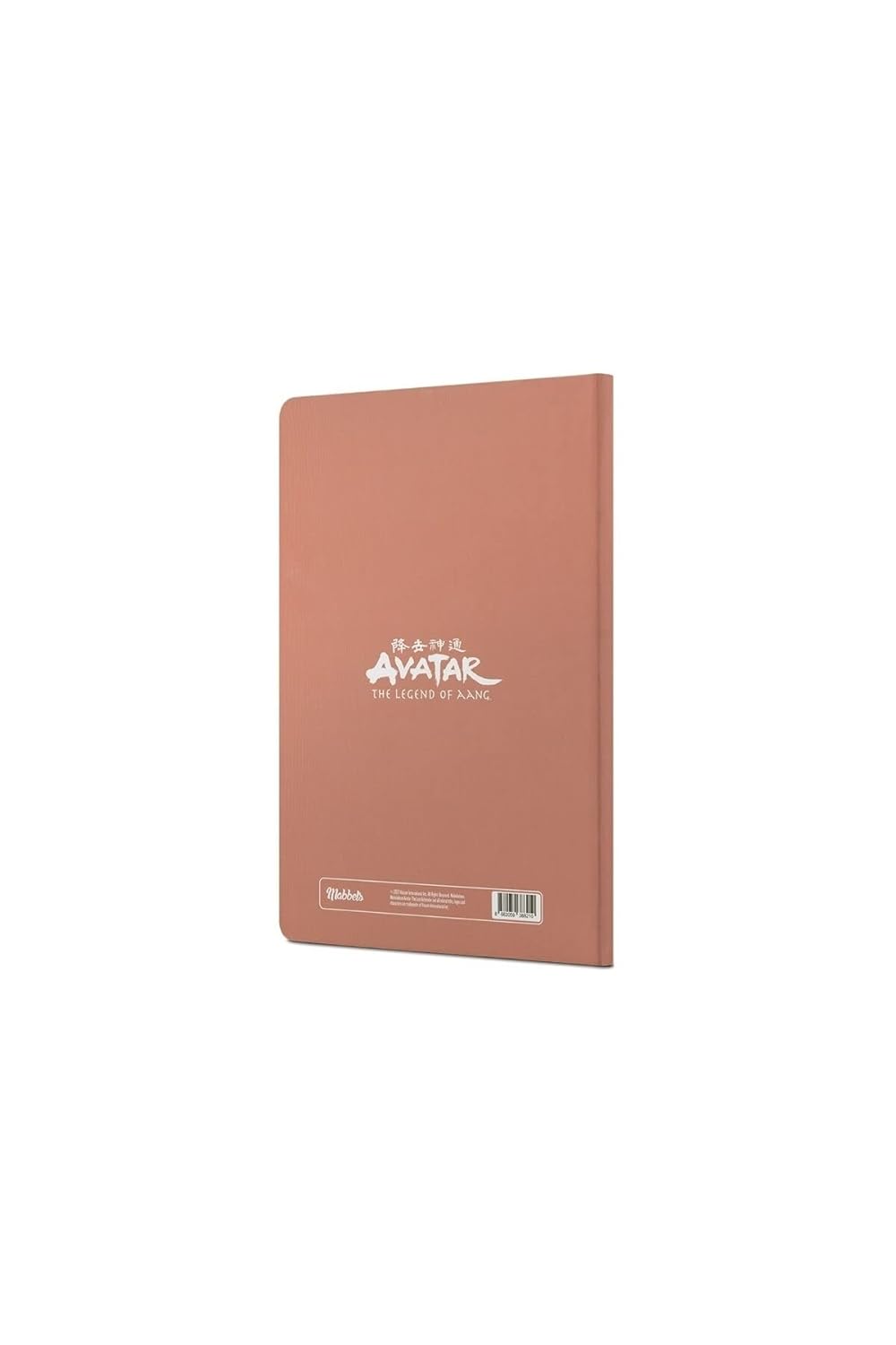 Avatar Appa Ve Aang Sert Kapak Butik Defter