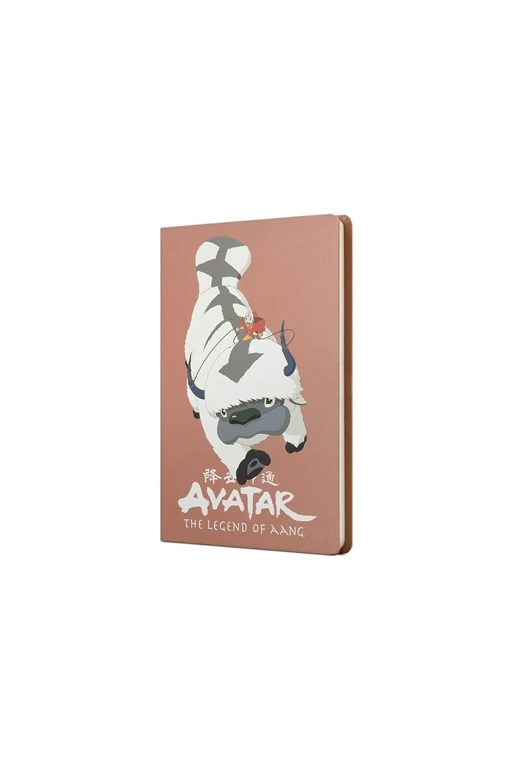 Avatar Appa Ve Aang Sert Kapak Butik Defter