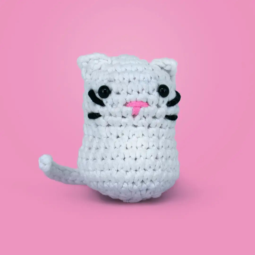 Kedoli Örgü Öğrenme Seti