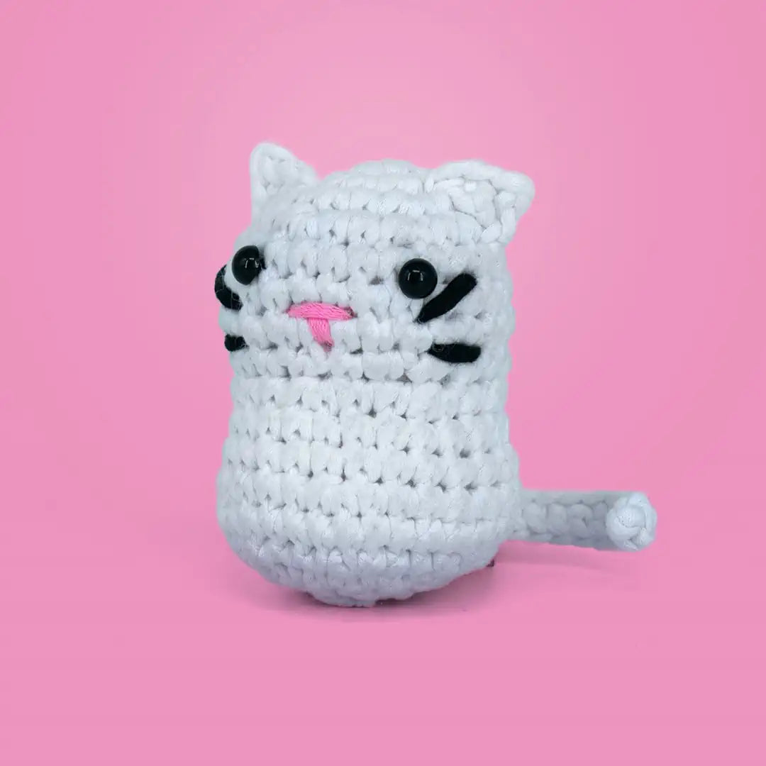 Kedoli Örgü Öğrenme Seti