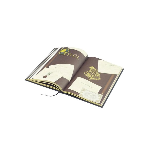 Harry Potter Hufflepuff Haftalık Planlayıcı Ajanda 2022 (Koleksiyonluk)