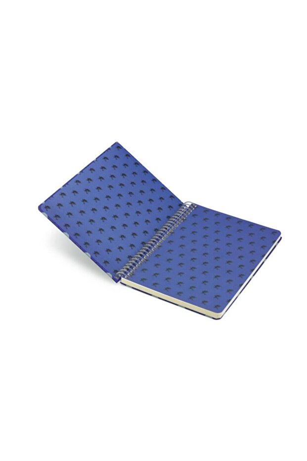 Harry Potter Sınıflar Ravenclaw Spiralli Defter