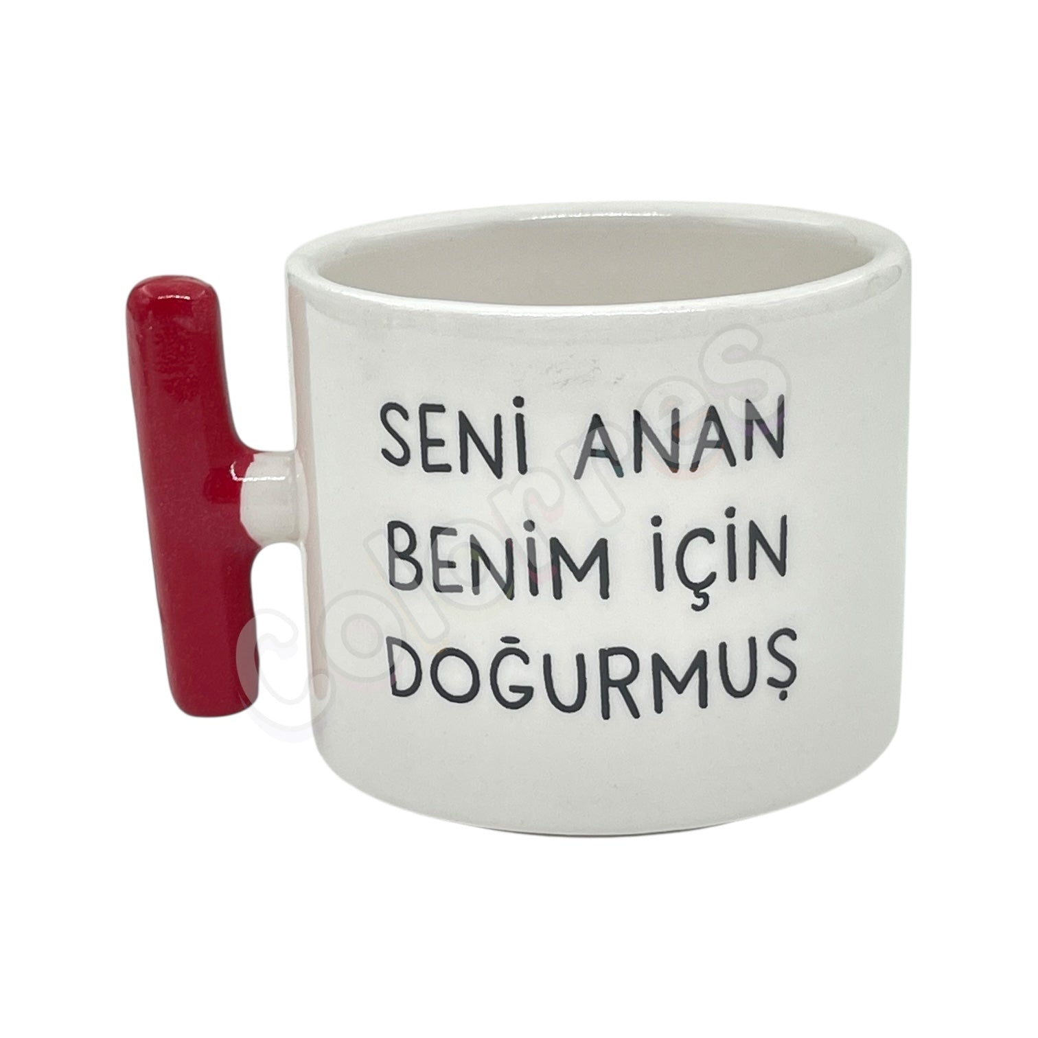 Seni Anan Benim İçin Doğurmuş - T Kupa