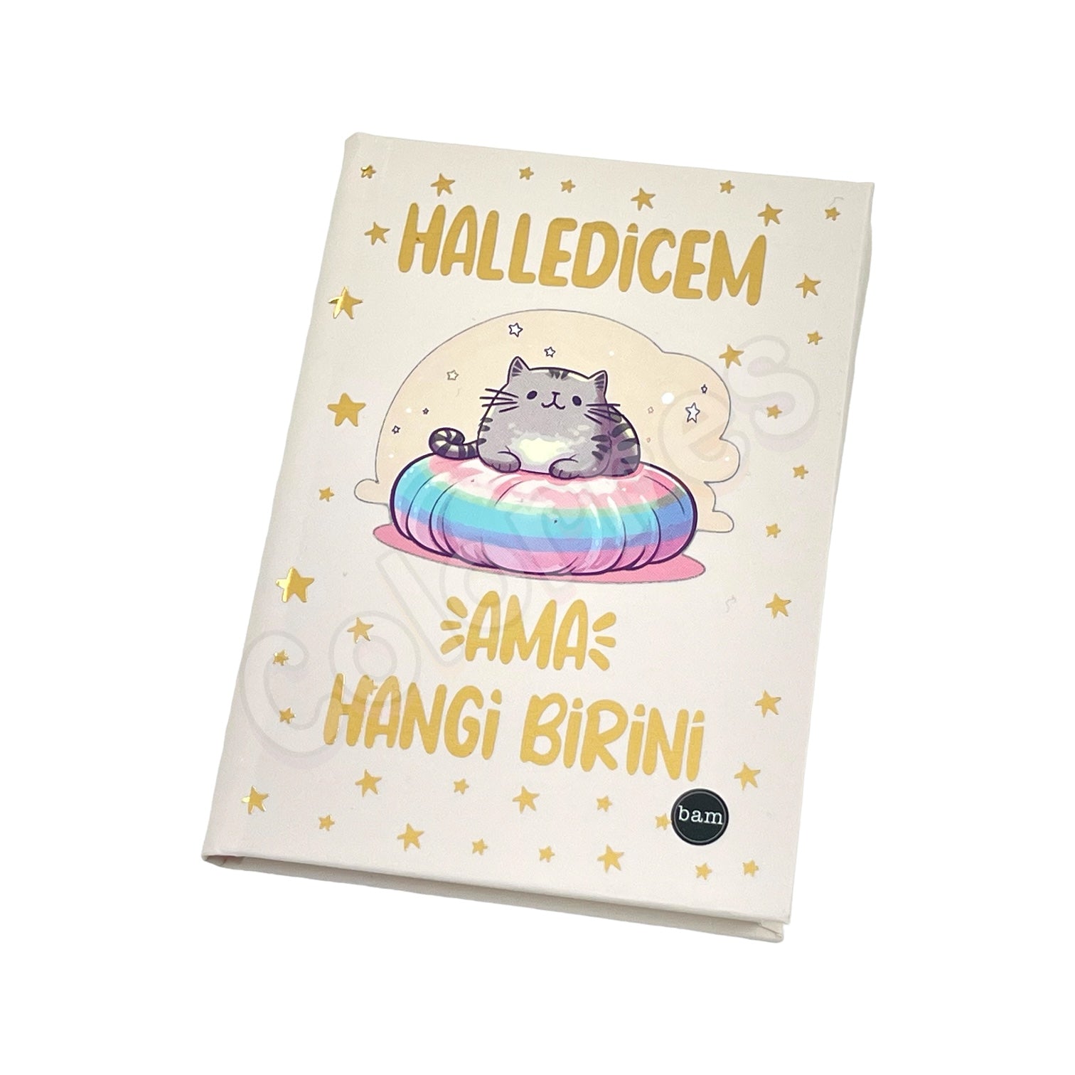 Mini Defter - Halledicem Ama Hangi Birini