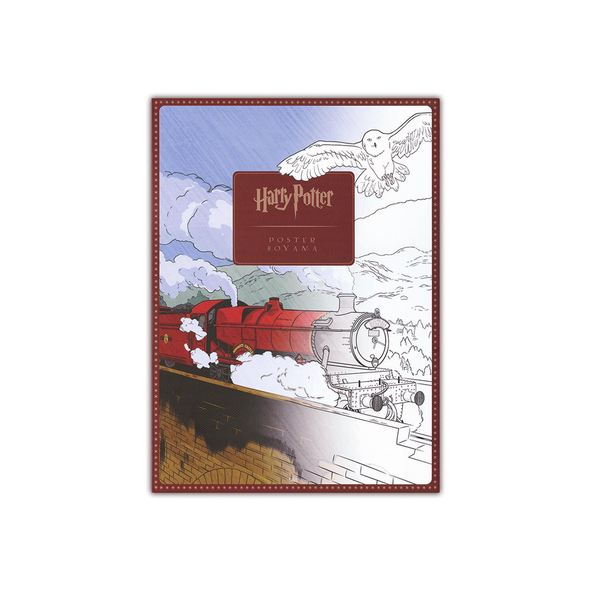 Harry Potter Poster Boyama Seti