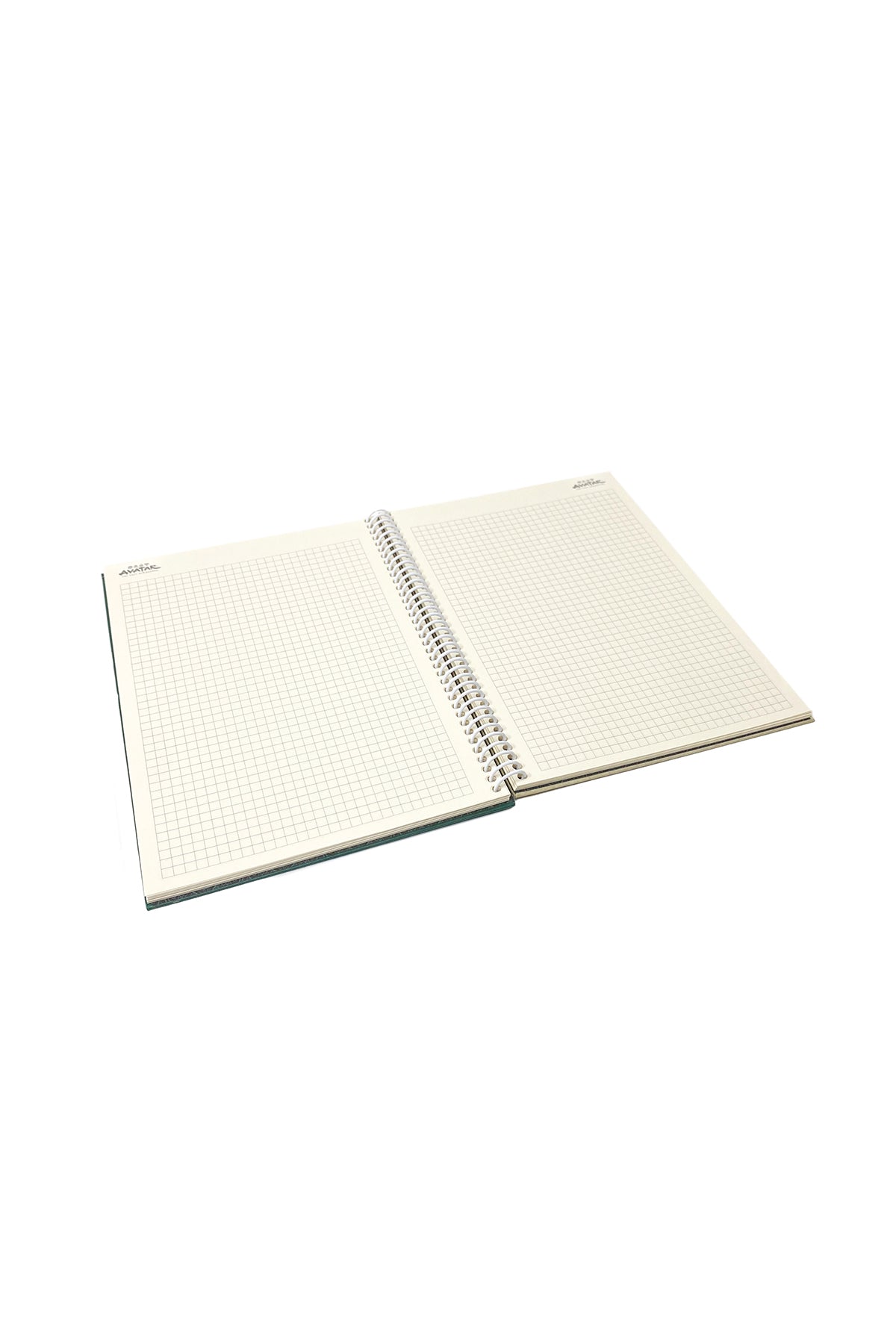 Avatar Aang Spiralli Sert Kapak Kareli Defter