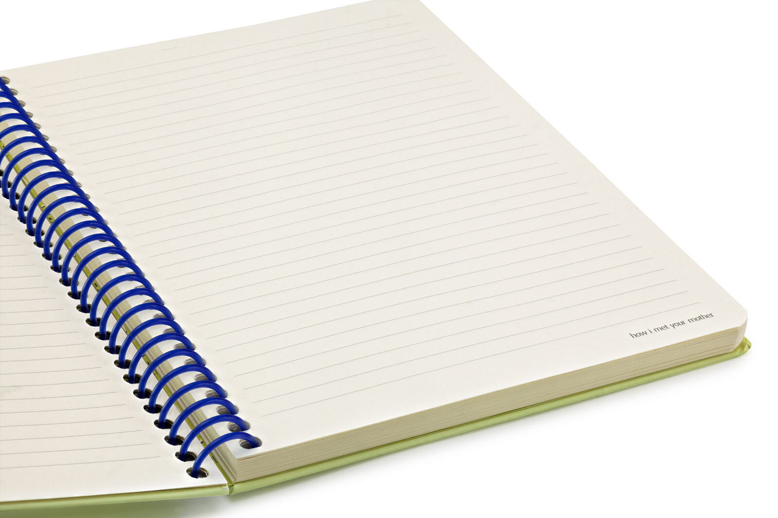 How I Met Your Mother Butik Defter - Himym