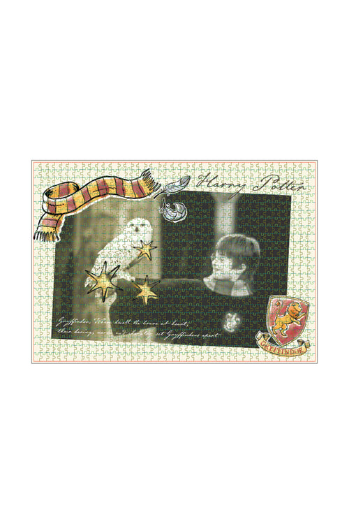 Harry Potter Harry Potter - Hedwig 1000 Parça Puzzle