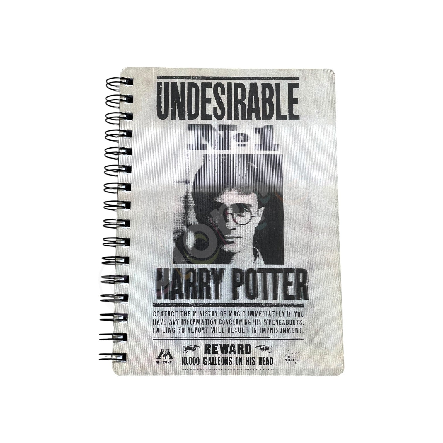 Have You Seen This Wizard? Lensli Defter - Harry Potter