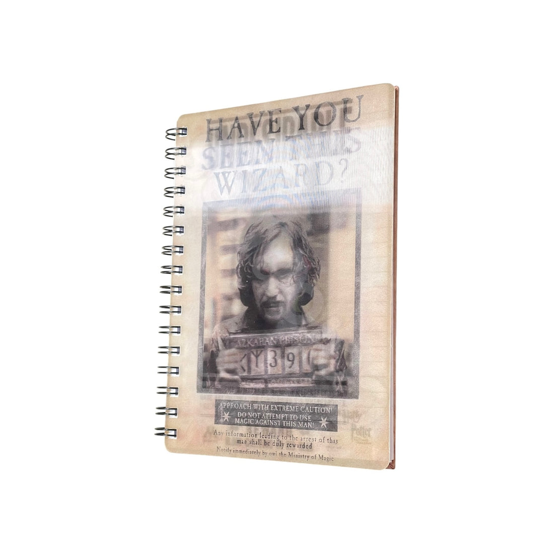 Have You Seen This Wizard? Lensli Defter - Harry Potter