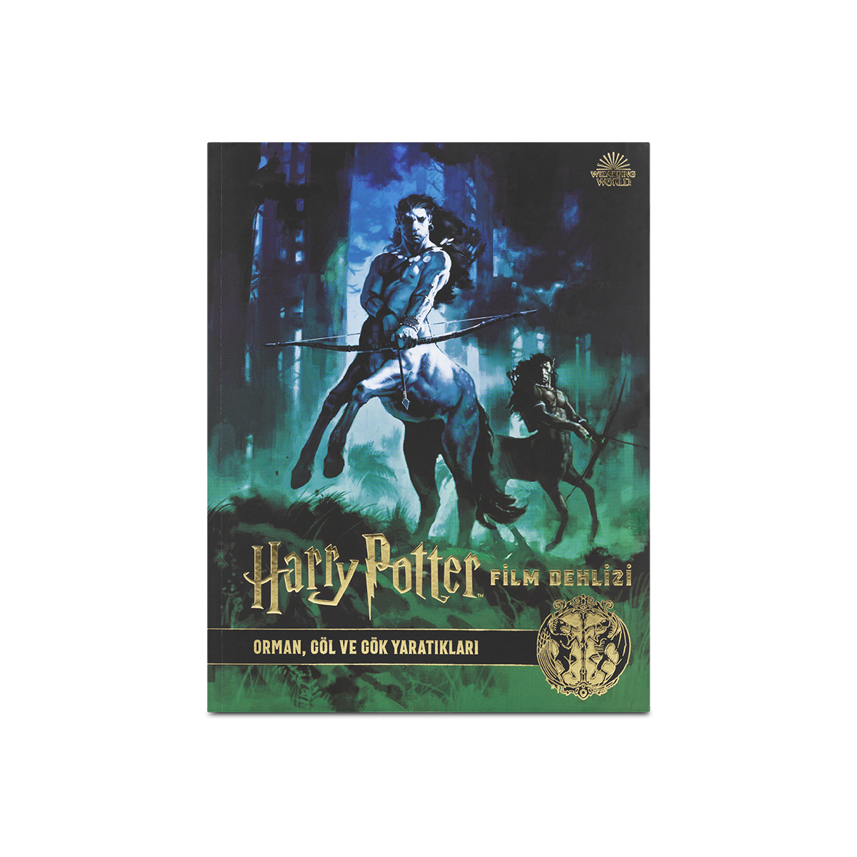 Harry Potter Fılm Dehlızı Kıtap 1: Orman, Göl Ve Gök Sakınlerı