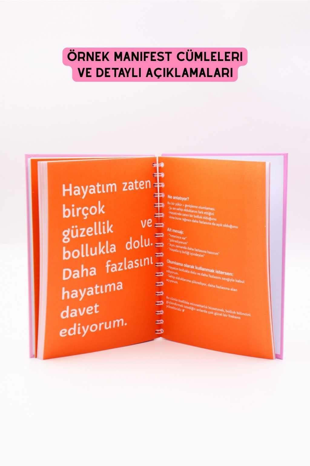 Manifest Günlüğü Ajanda Pembe