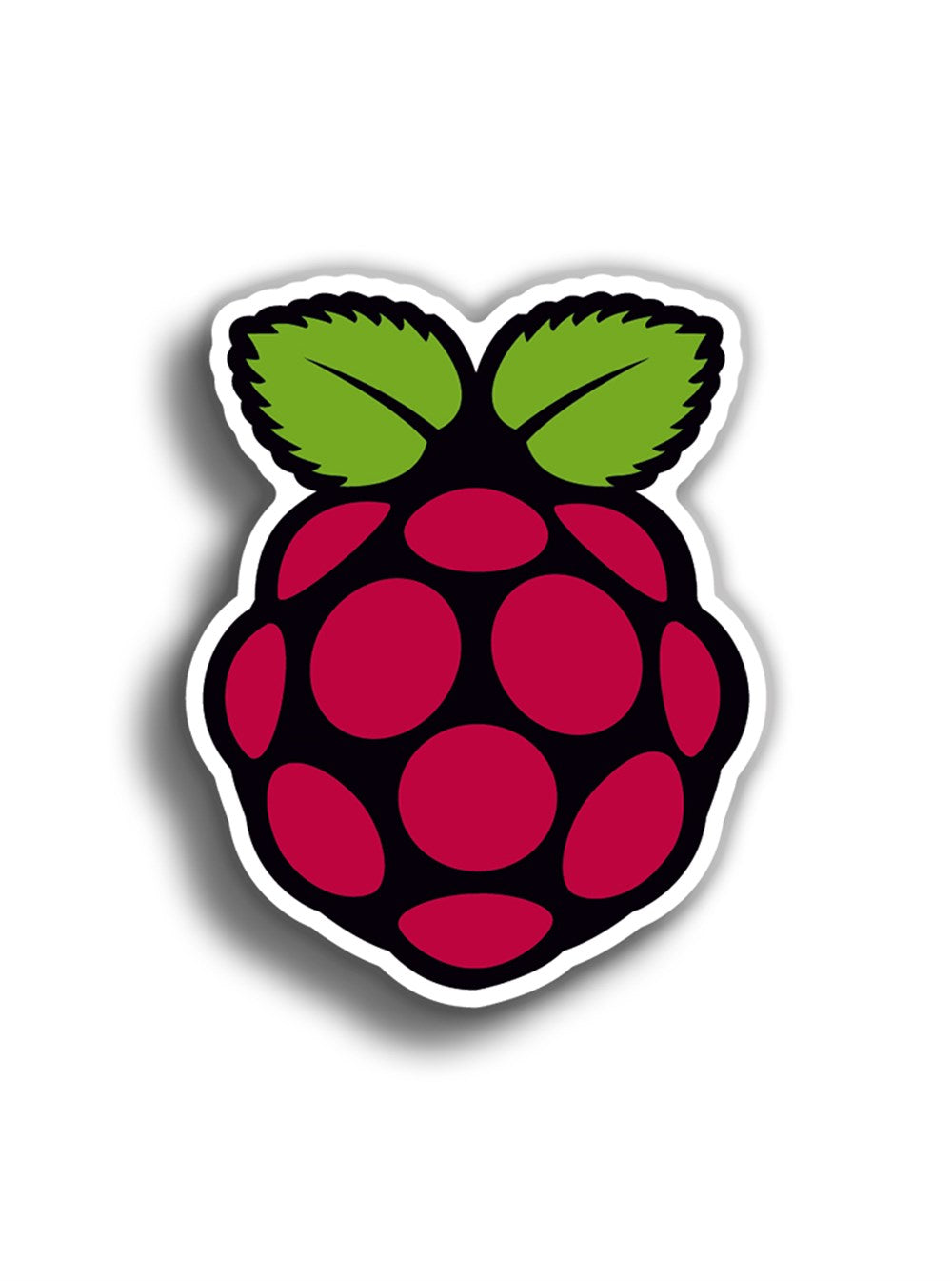Blue Raspberry Reign Logo Sticker Raspberry 9x7 cm Sticker – Colorres